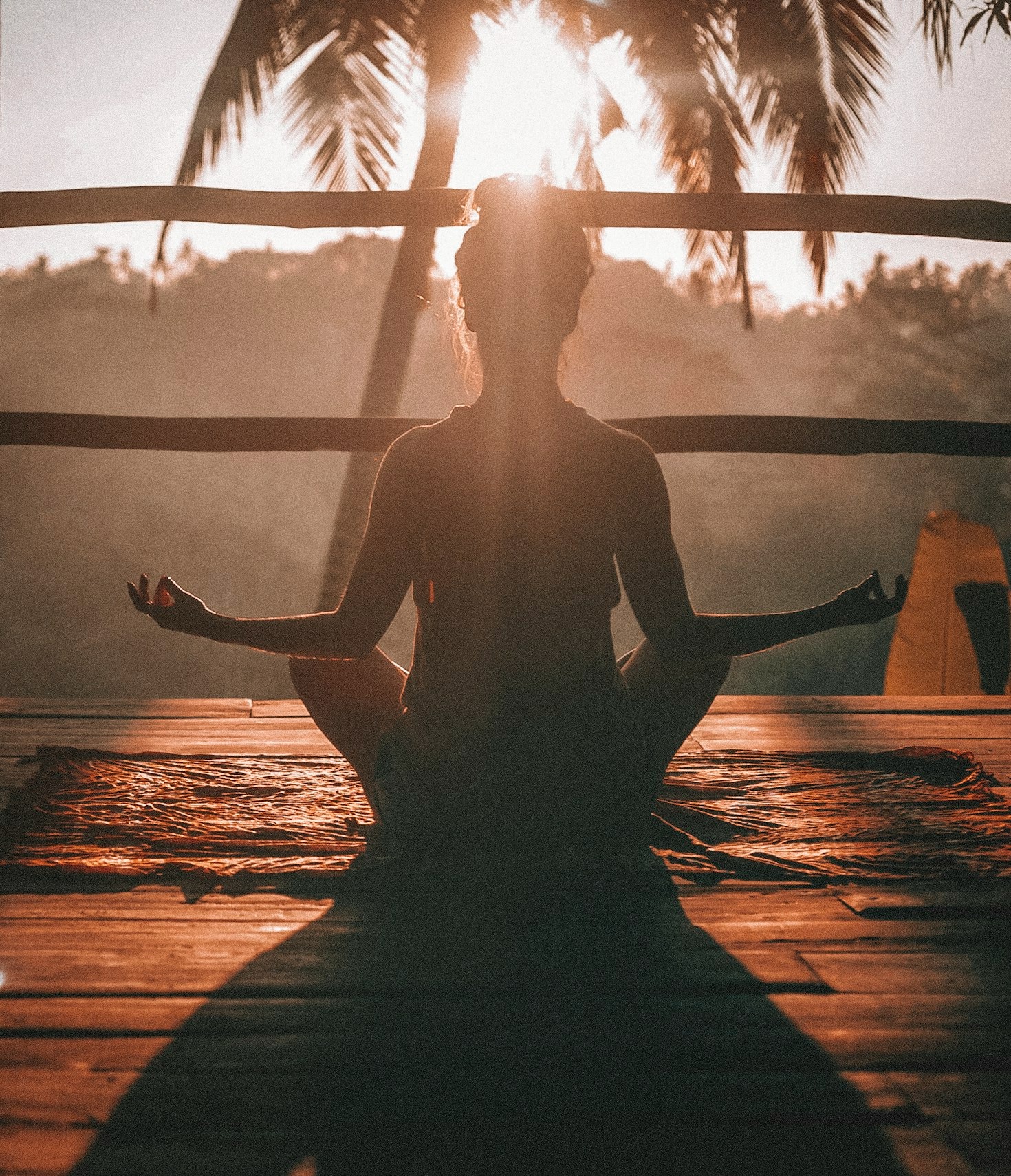 Como Garantir Uma Vida Saudável e Longa
